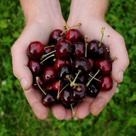 Utne Hotel فندق *